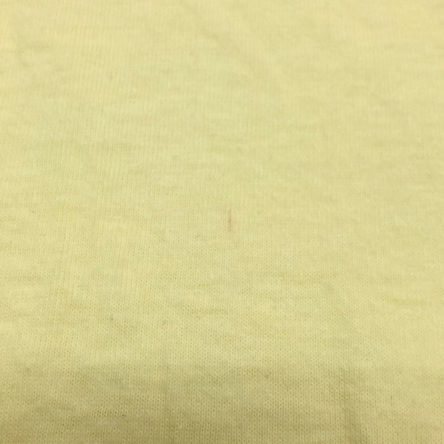 極美品◆ヘインズ Tシャツ クルーネック コットン メンズ イエロー サイズL HANES 【AFB47】