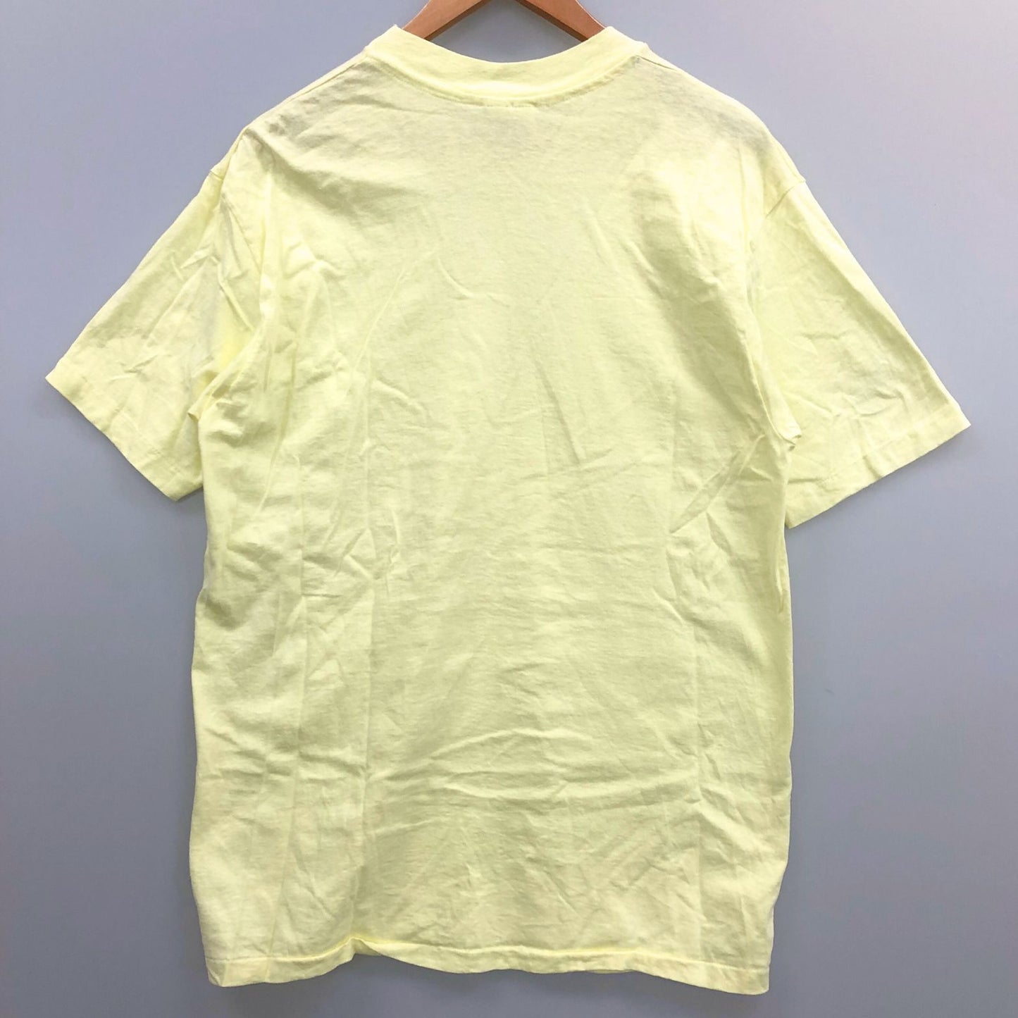 極美品◆ヘインズ Tシャツ クルーネック コットン メンズ イエロー サイズL HANES 【AFB47】