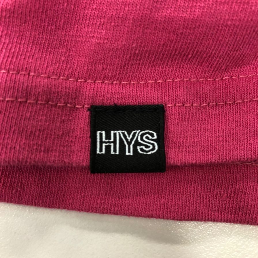 極美品◆ヒステリックグラマー 長袖Tシャツ HYSDEVIL ピンク メンズ サイズM HYSTERIC GLAMOUR 【AFB6】