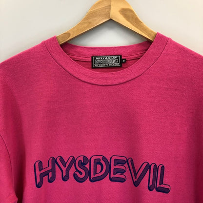 極美品◆ヒステリックグラマー 長袖Tシャツ HYSDEVIL ピンク メンズ サイズM HYSTERIC GLAMOUR 【AFB6】