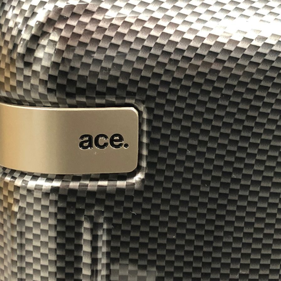 エース パリセイド3-Z ブラックカーボン 21L 06911 Ace Palisade【AFE13】