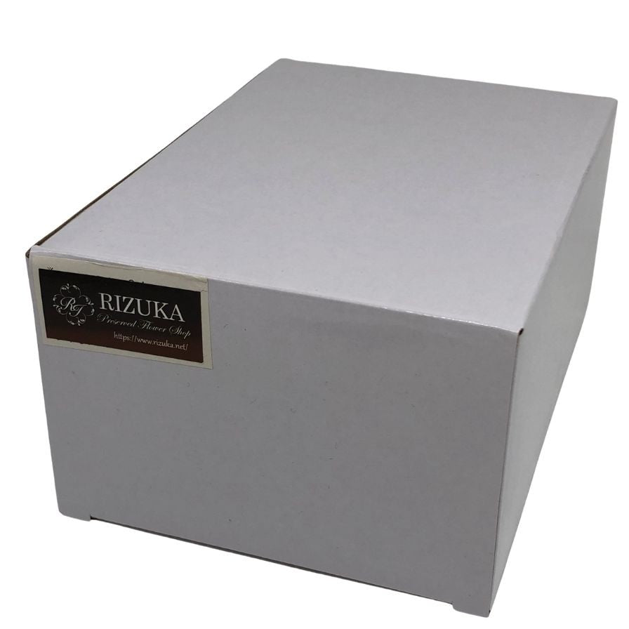 リズカ ブリザード フラワー 2点一式 Preserved Flowers【AFI28】【中古】