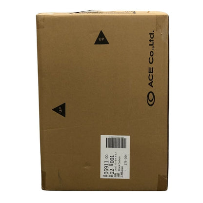 エース パリセイド3-Z ブラックカーボン 21L 06911 Ace Palisade【AFE13】