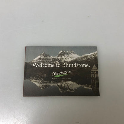 ブランドストーン サイドゴアブーツ オルテライン 2057 ヴィブラムソール メンズ サイズ7 ブラウン Blundstone 約26.0cm【AFD15】