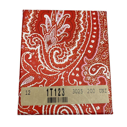 エトロ エアポッズケース カンフーパンダ AirPodsケース レッド系 レザー ETRO【AFI8】【中古】