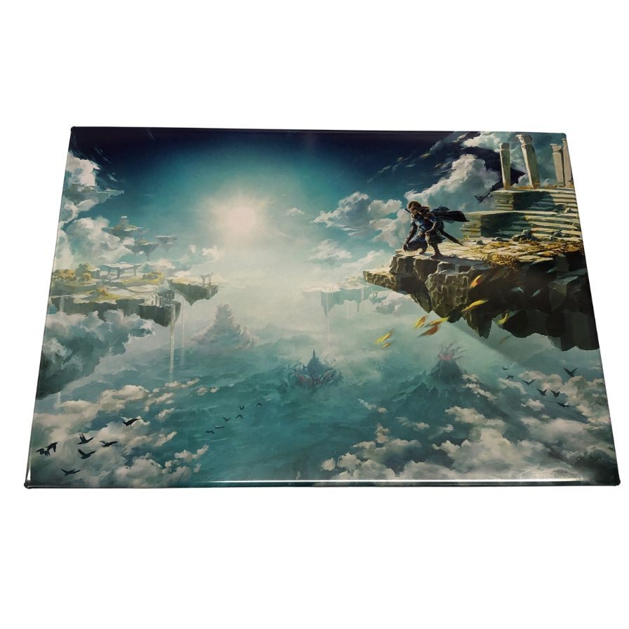 ニンテンドー スイッチ ゼルダの伝説 ティアーズ オブ ザ キングダム コレクターズ エディション Nintendo Switch【AFI28】【中古】