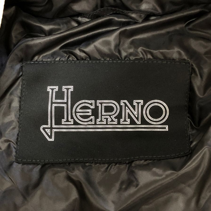 極美品◆ヘルノ ダウンジャケット PI001079U サイズ46 メンズ ベージュ系 HERNO 【AFA10】