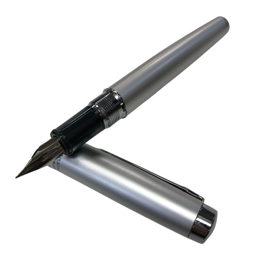 プラチナ 万年筆 プロシオン F シルバー PLATINUM【AFI18-3】