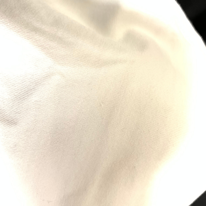 美品◆セリーヌ Tシャツ ビッグロゴ ホワイト サイズM エディ期 CELINE レディース【AFB20】