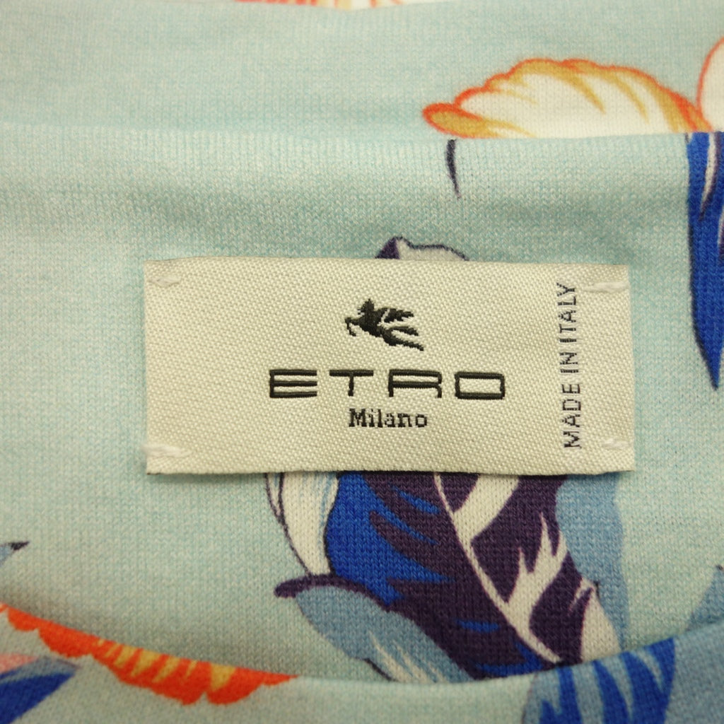 極美品◆エトロ Tシャツ ボタニカル柄 花柄 メンズ 青系 サイズS ETRO【AFB51】